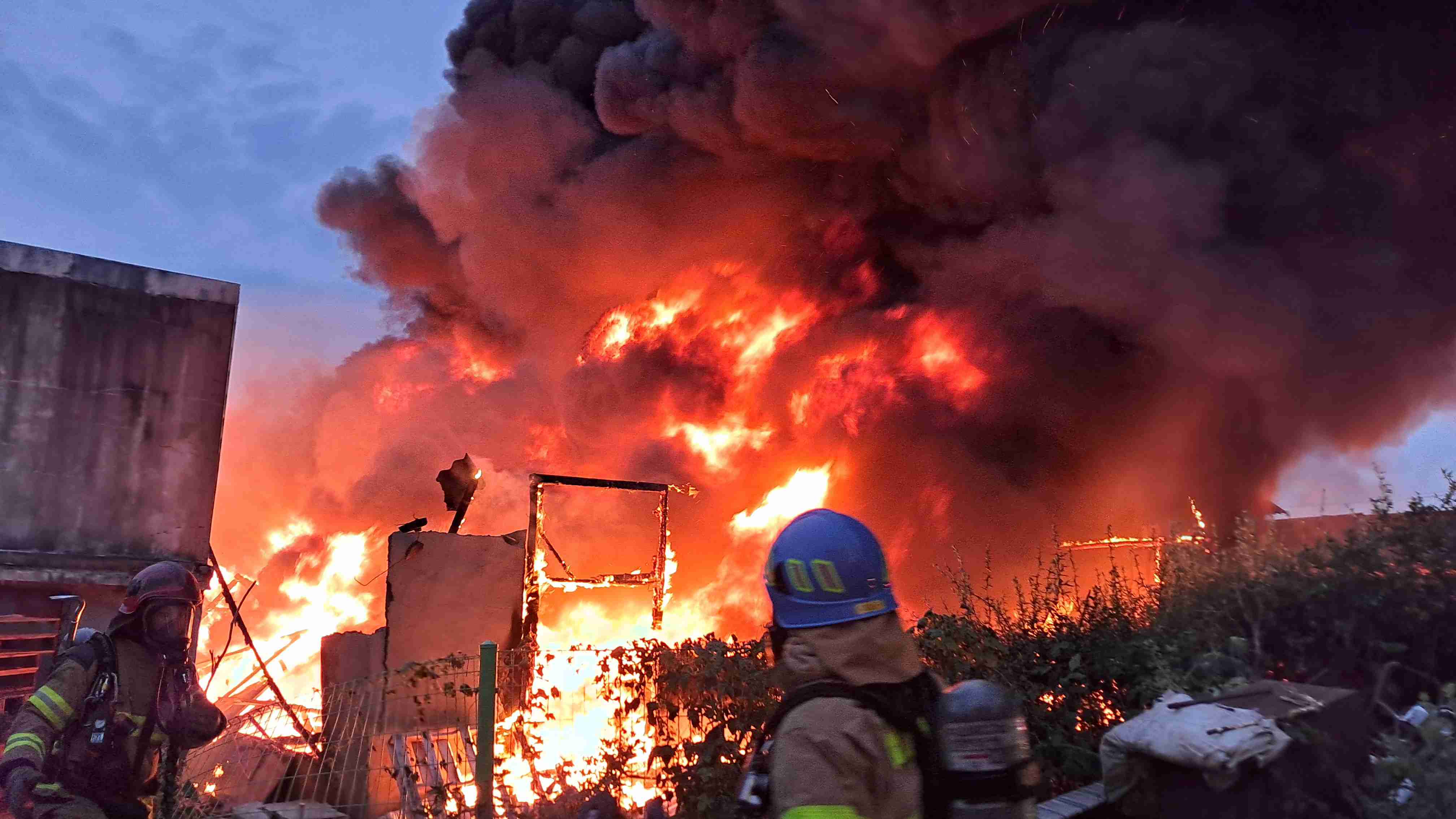 사진 제공 경북소방본부