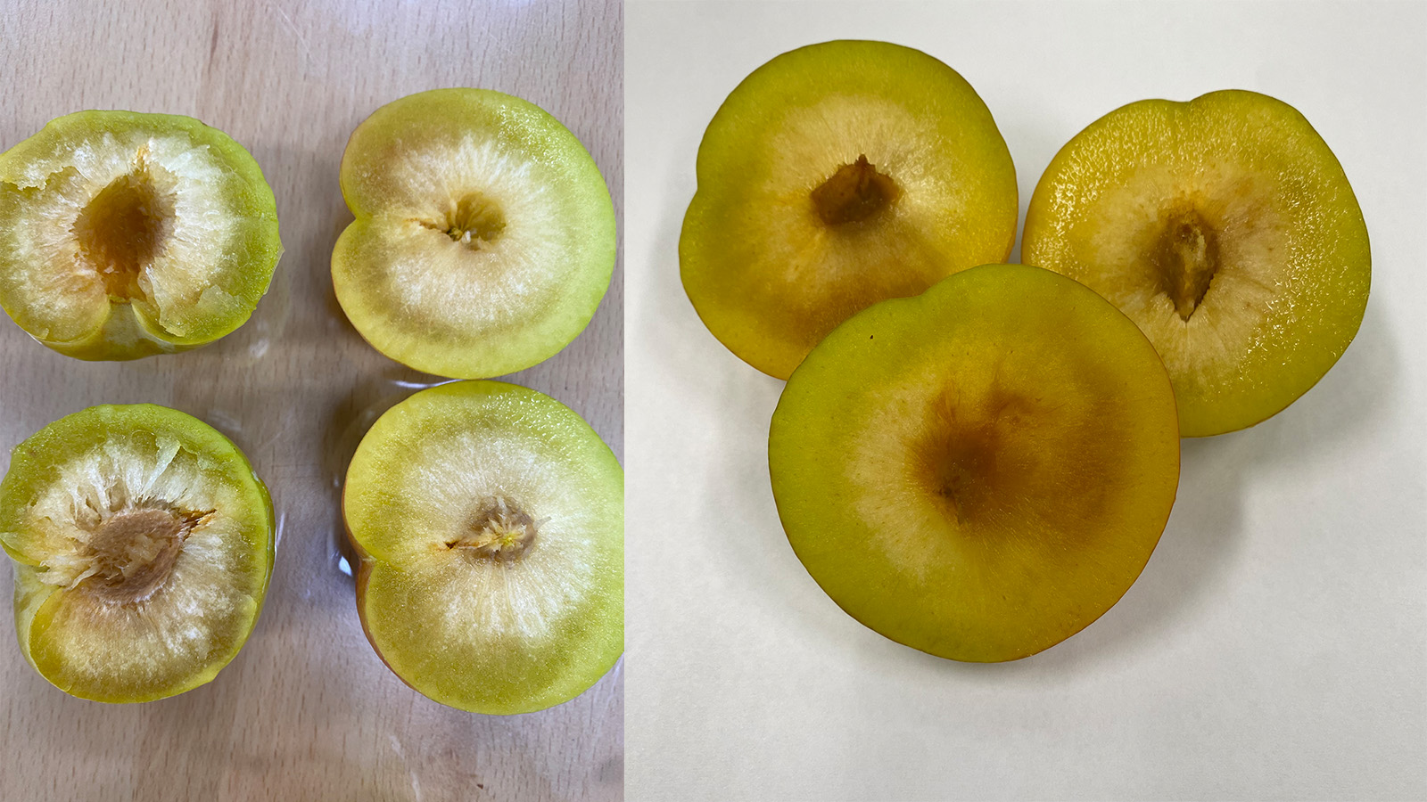 사진 제공 경북 김천시