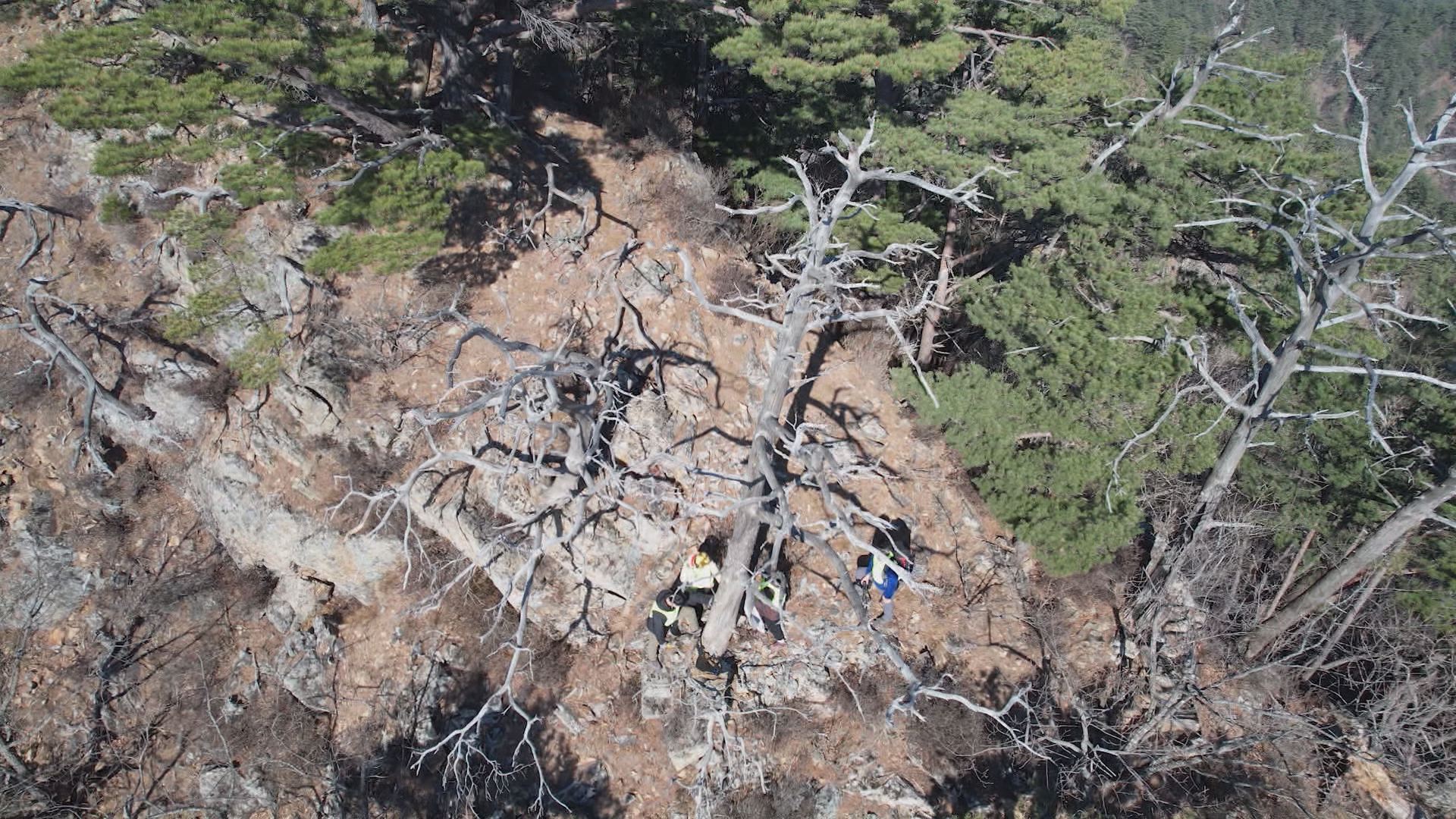 위 사진은 기사 내용과 관련이 없습니다