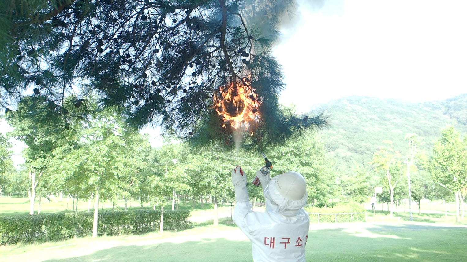 사진 제공 대구소방본부