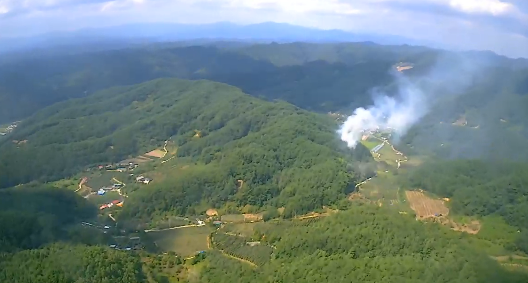 사진 제공 산림청