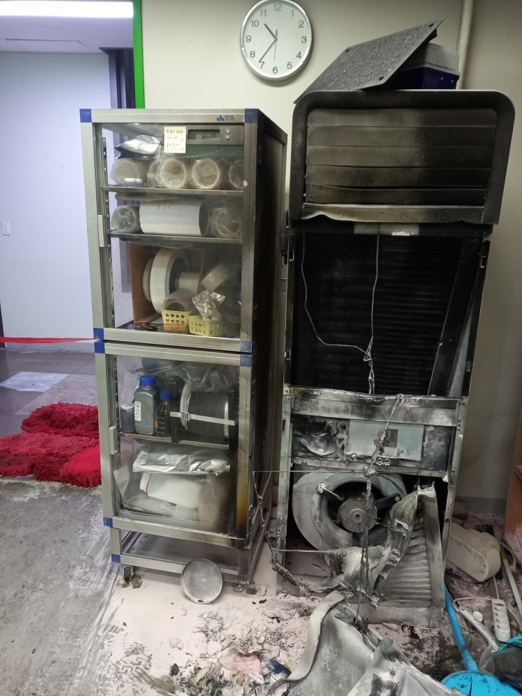 사진 제공 대구소방본부