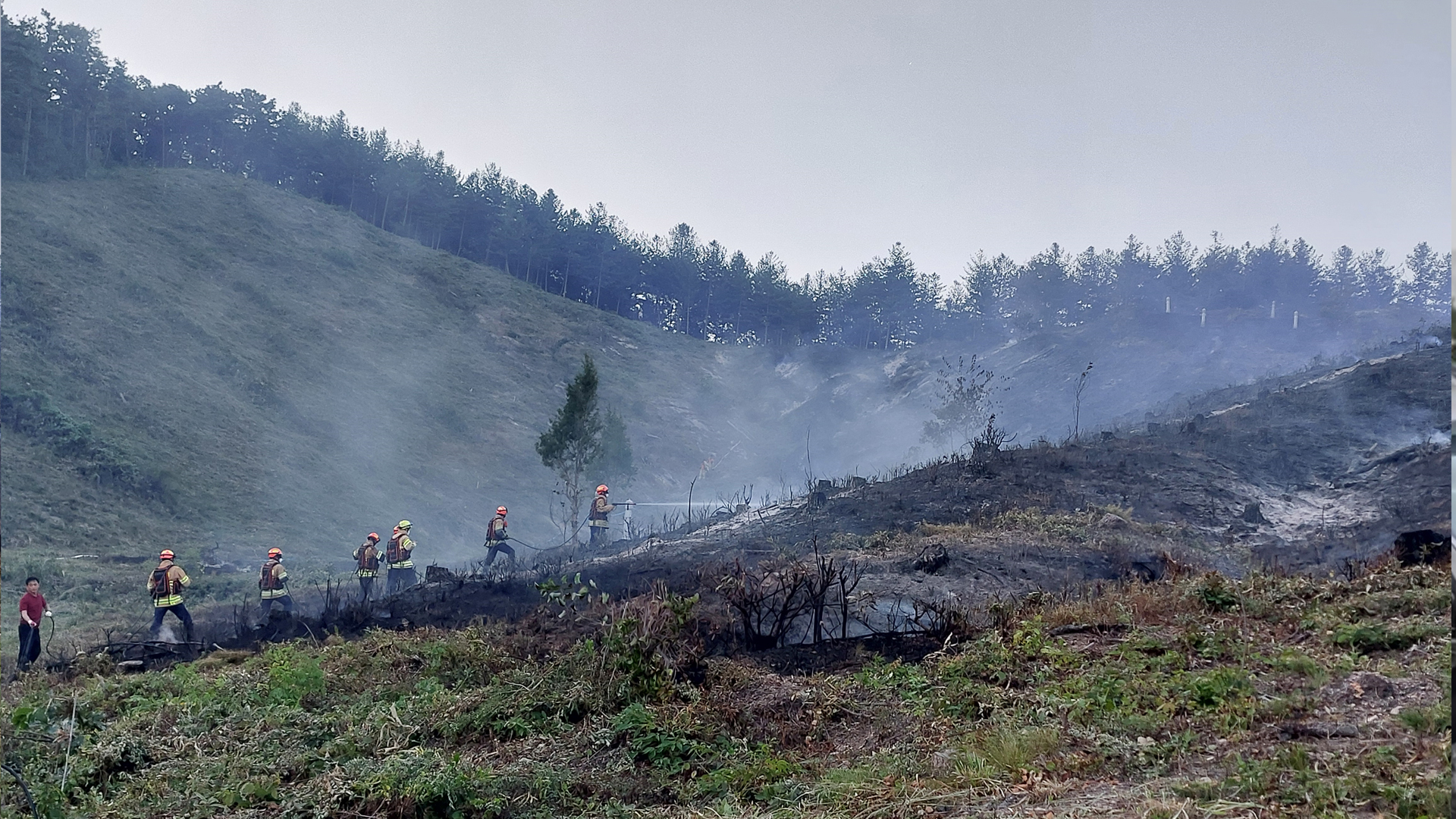 사진 제공 경북소방본부