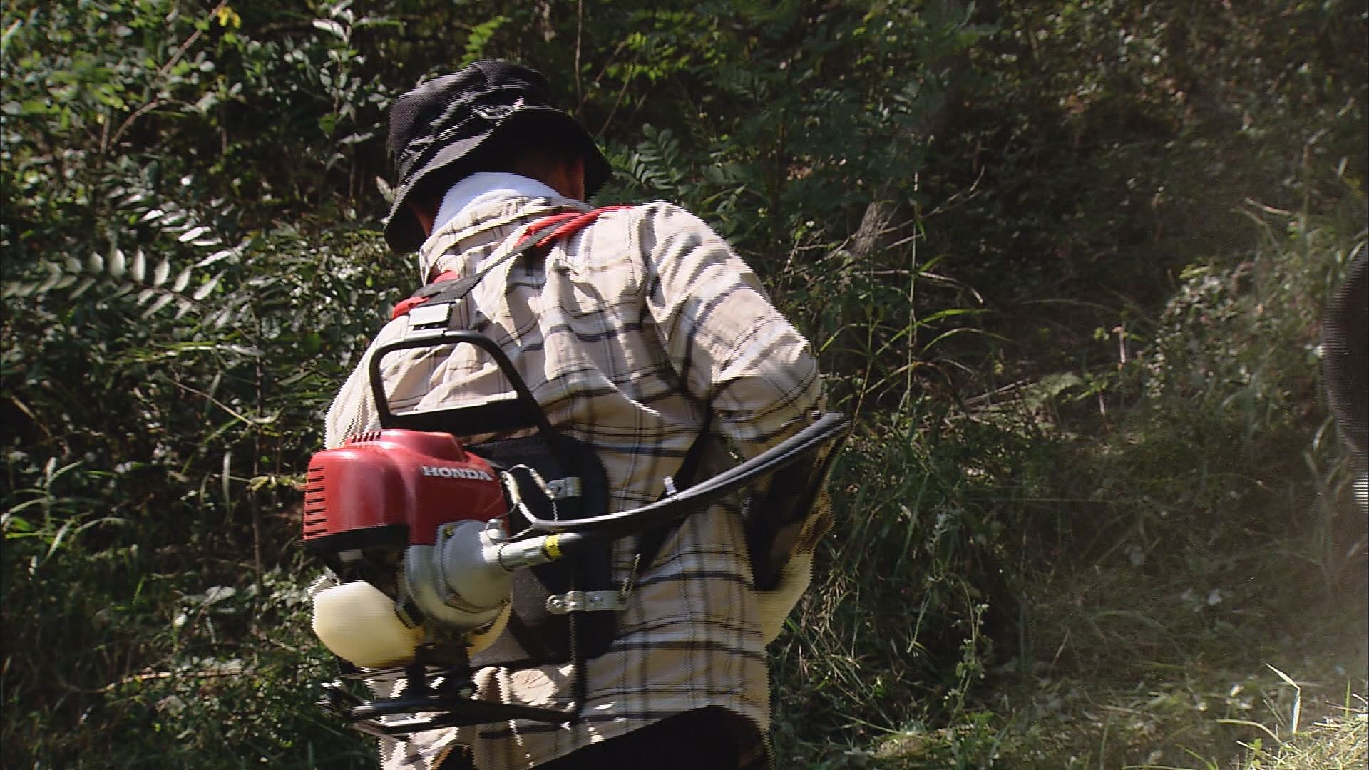 위 사진은 기사 내용과 관련이 없습니다