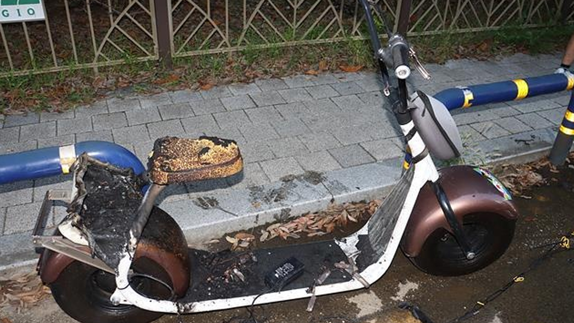 사진 제공 대구소방본부