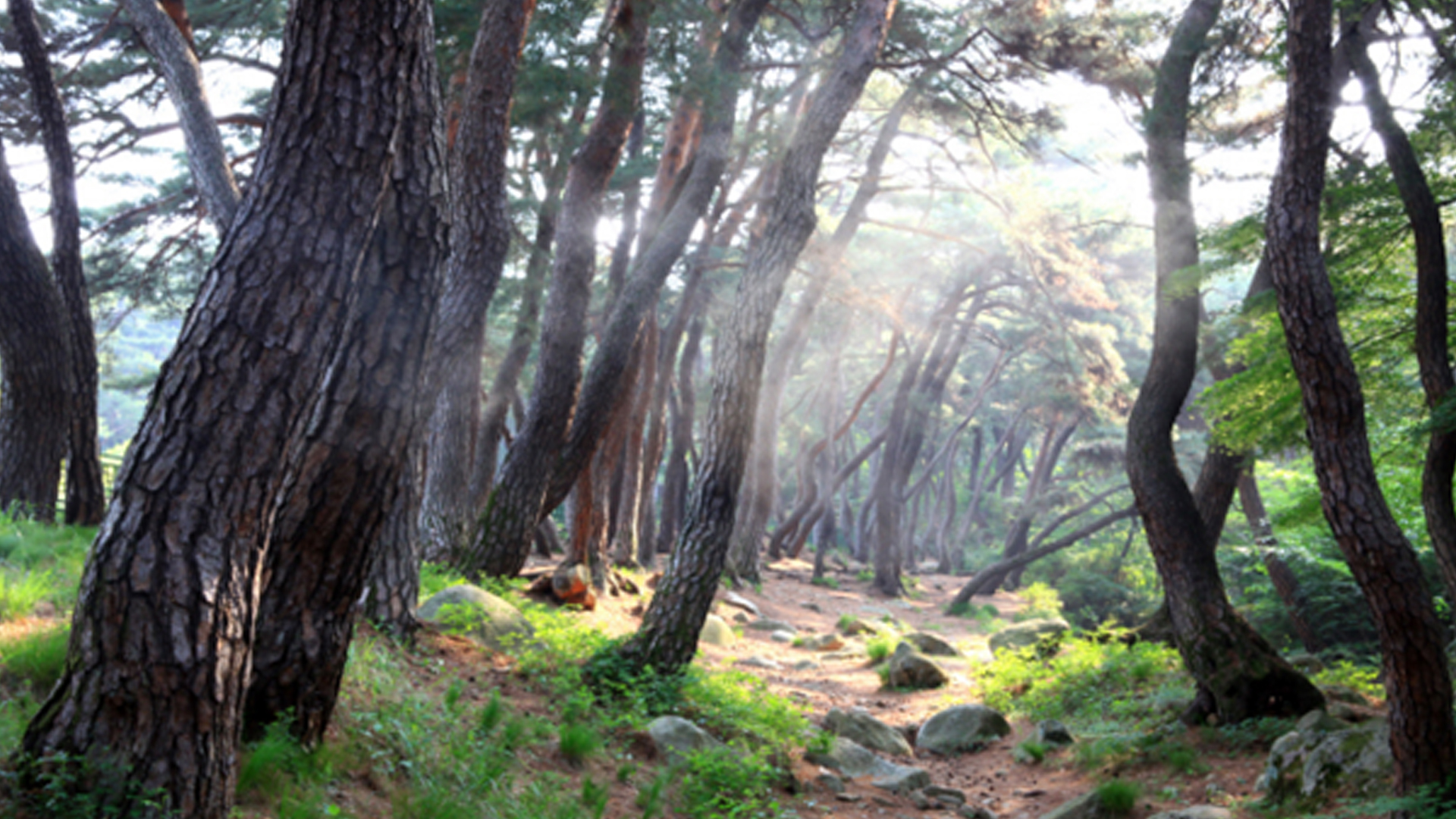 사진 제공 국립공원공단