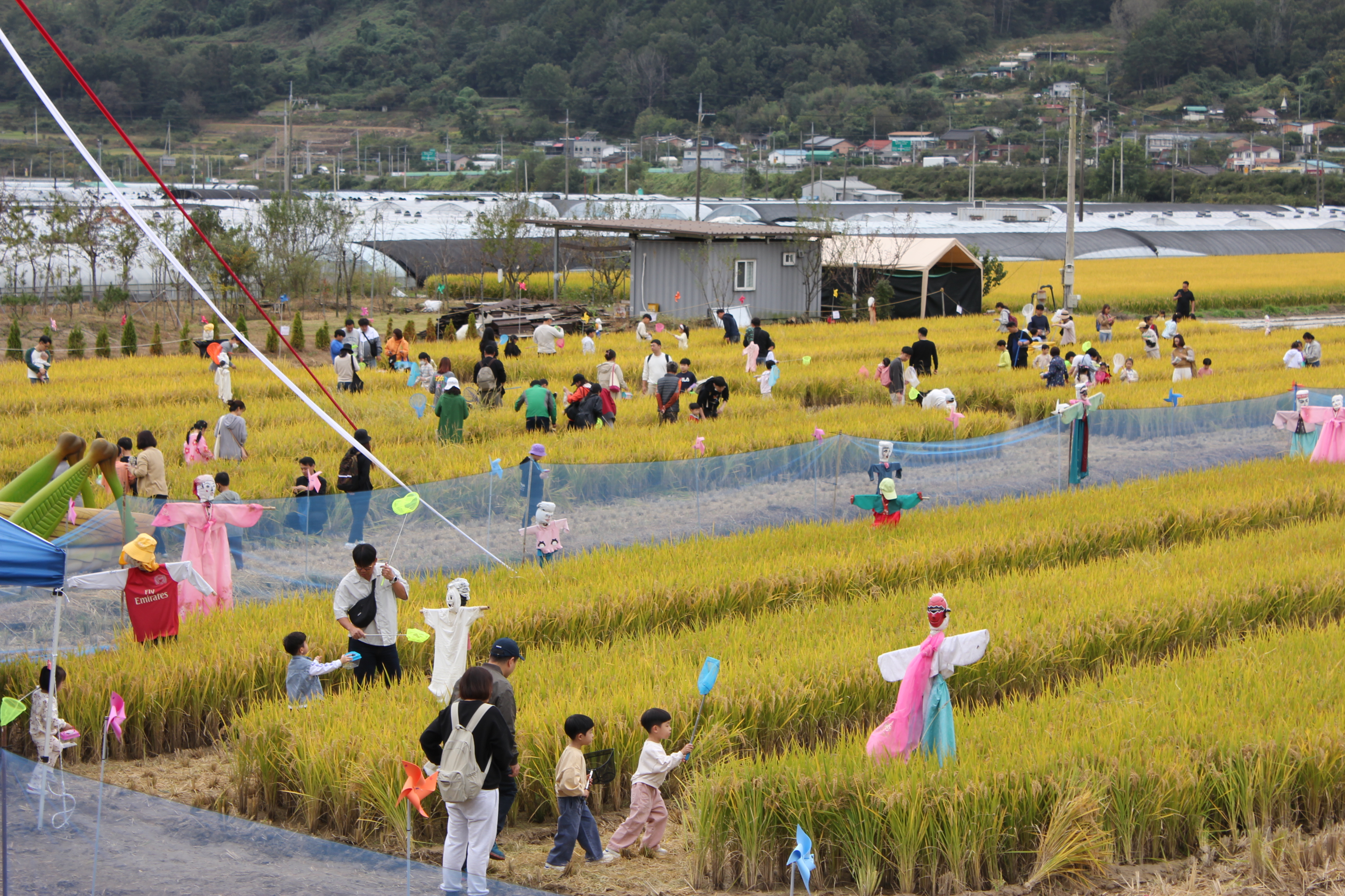 사진 제공 경북 성주군