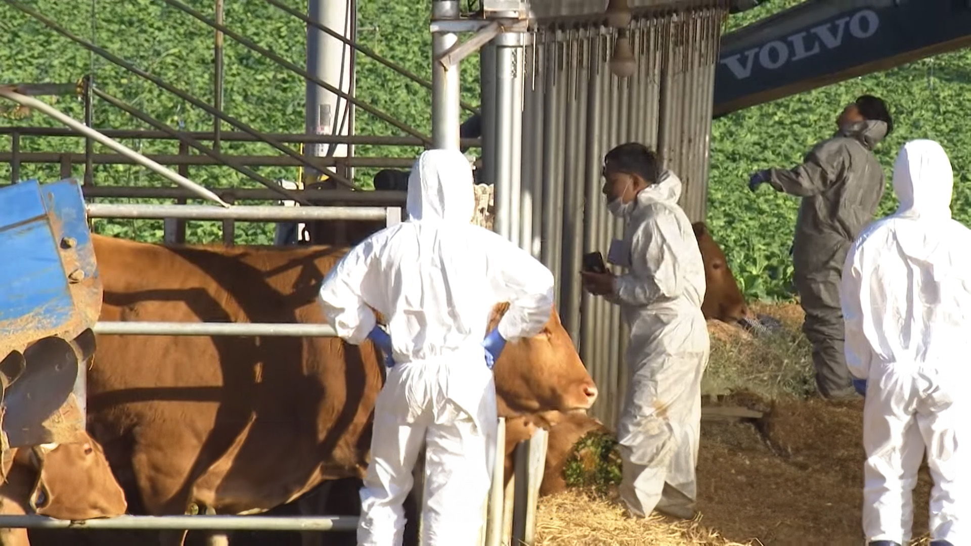 위 사진은 기사 내용과 관련이 없습니다