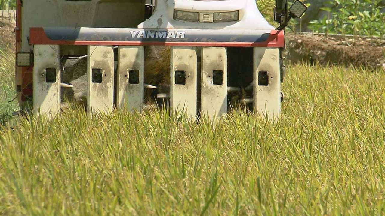 위 사진은 기사 내용과 관련이 없습니다