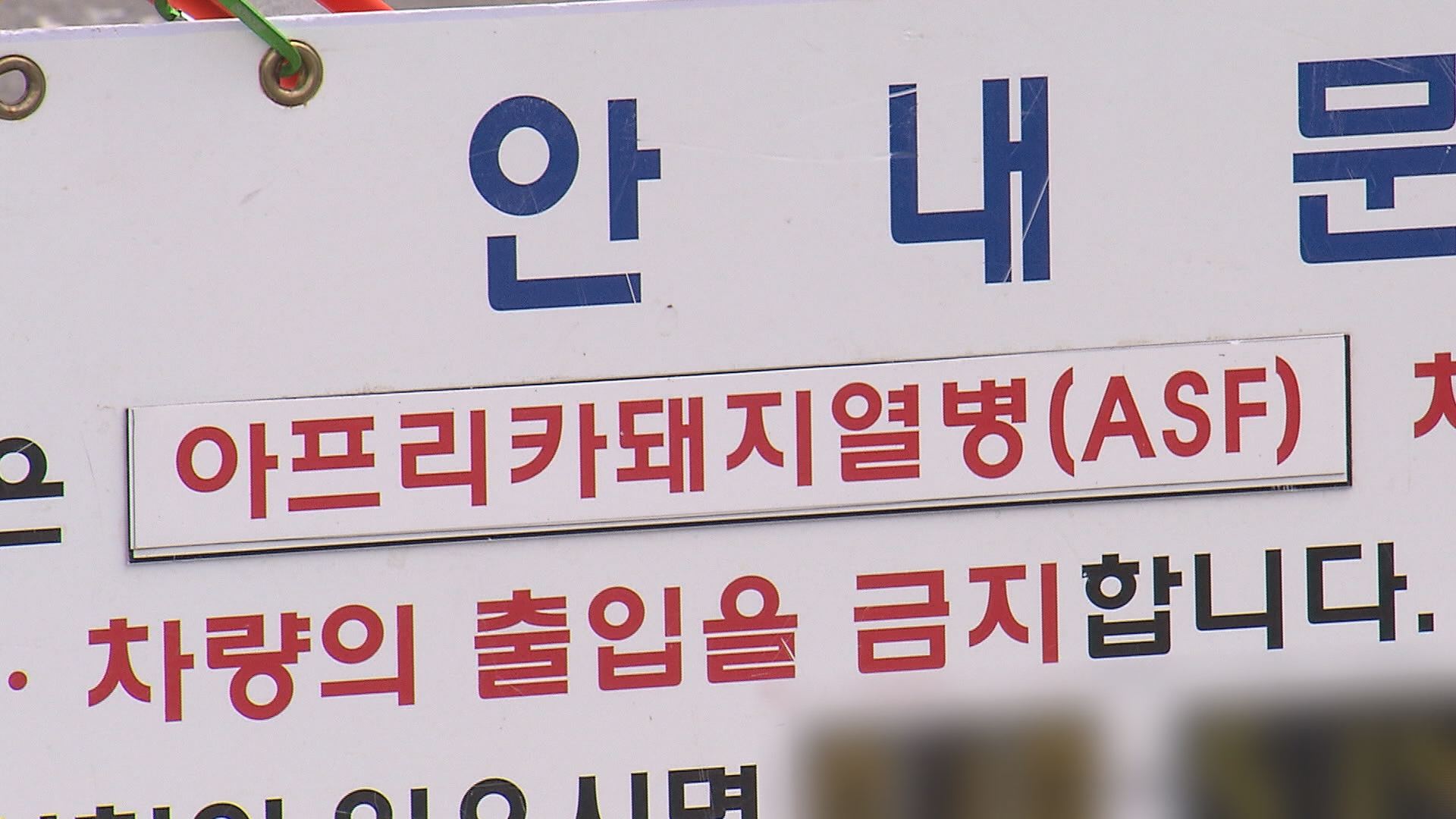 위 사진은 기사 내용과 관련이 없습니다