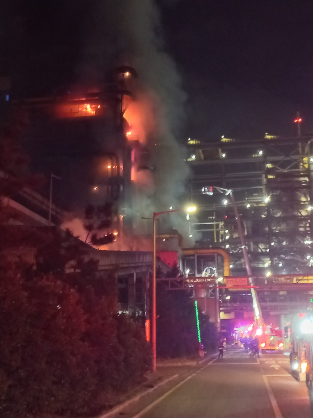 사진 제공 경북소방본부