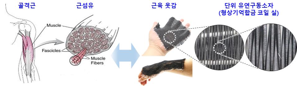 사진 제공 한국섬유개발연구원