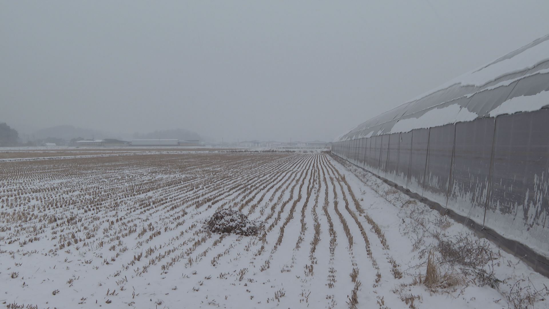 위 사진은 기사 내용과 관련이 없습니다