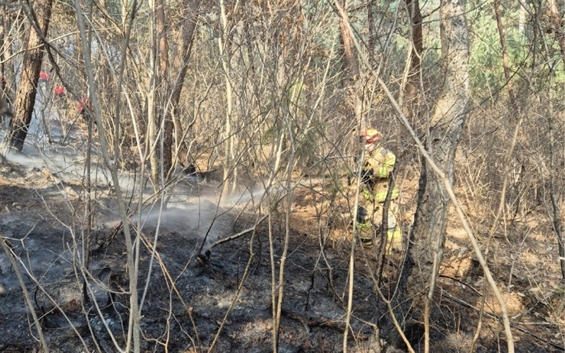 사진 제공 경북소방본부
