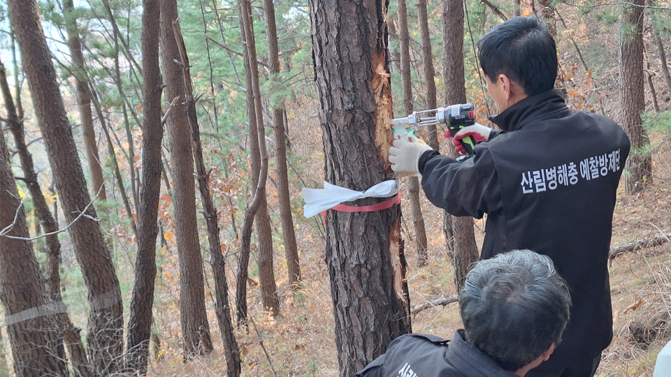 사진 제공 남부지방산림청