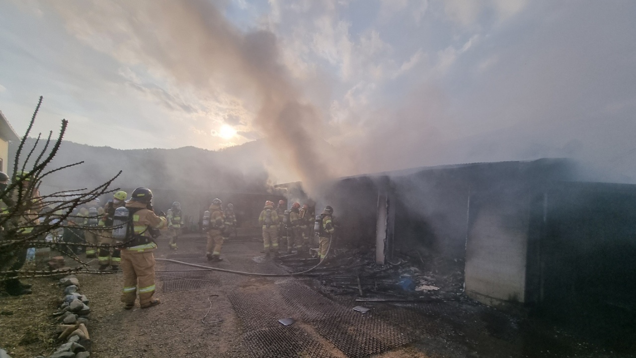 사진 제공 경북소방본부