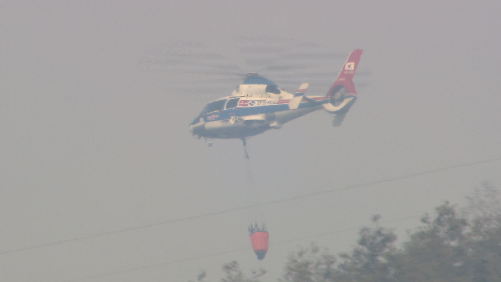 위 사진은 기사 내용과 관련이 없습니다