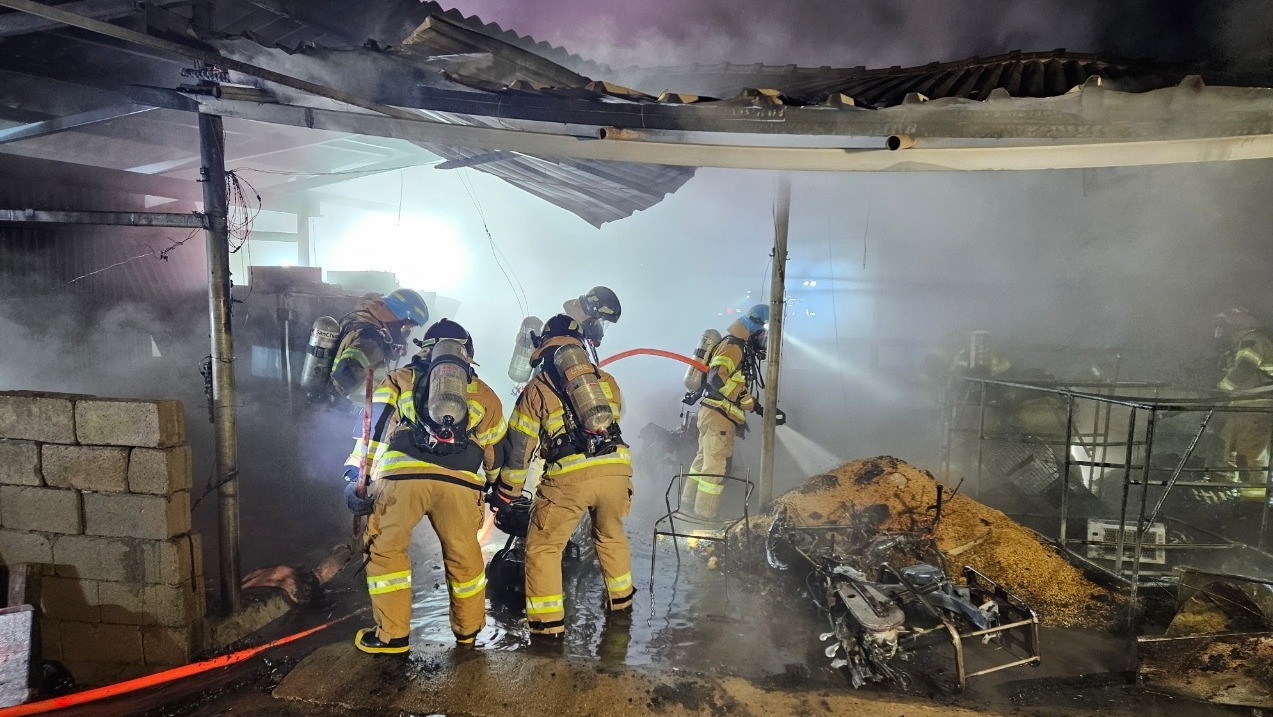 사진 제공 경북소방본부