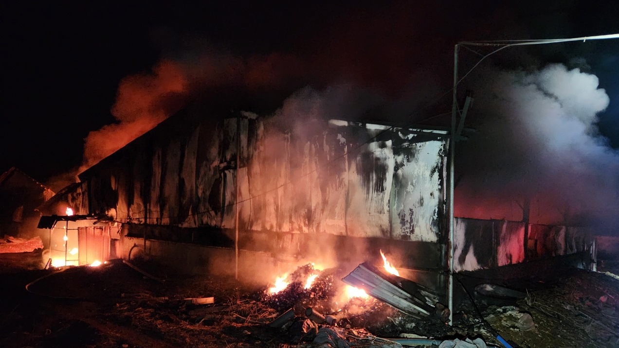 사진 제공 경북소방본부