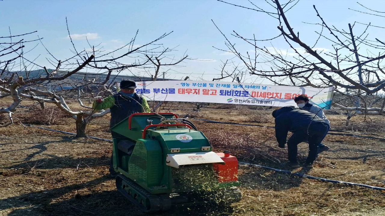 사진 제공 경북 영천시