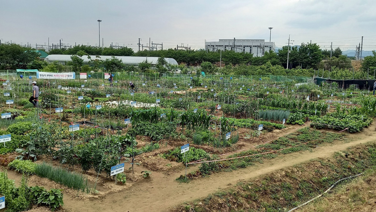 사진 제공 대구 수성구