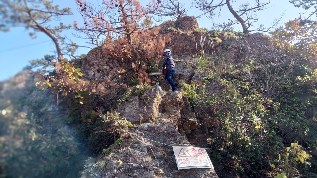 위 사진은 기사 내용과 관련이 없습니다