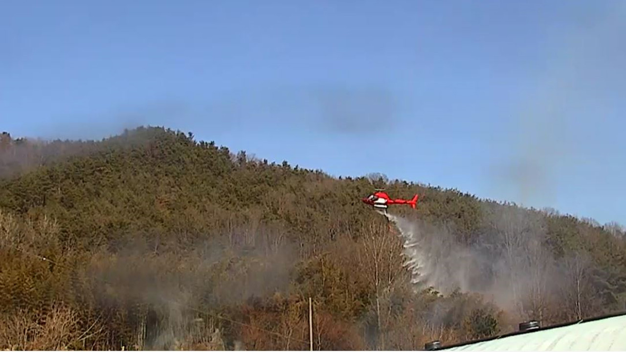 사진 제공 경북소방본부