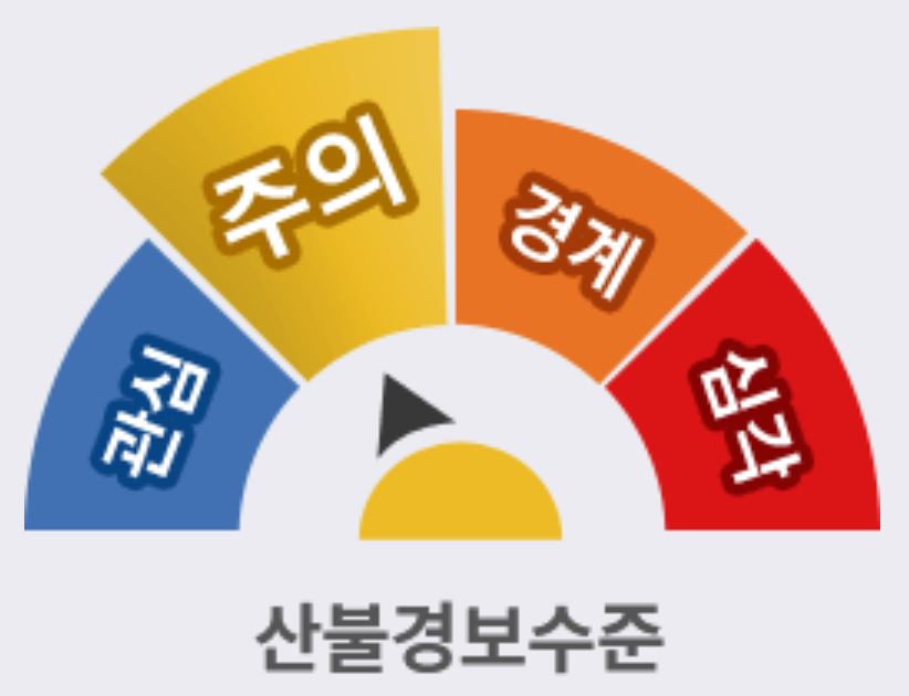 사진 제공 산림청