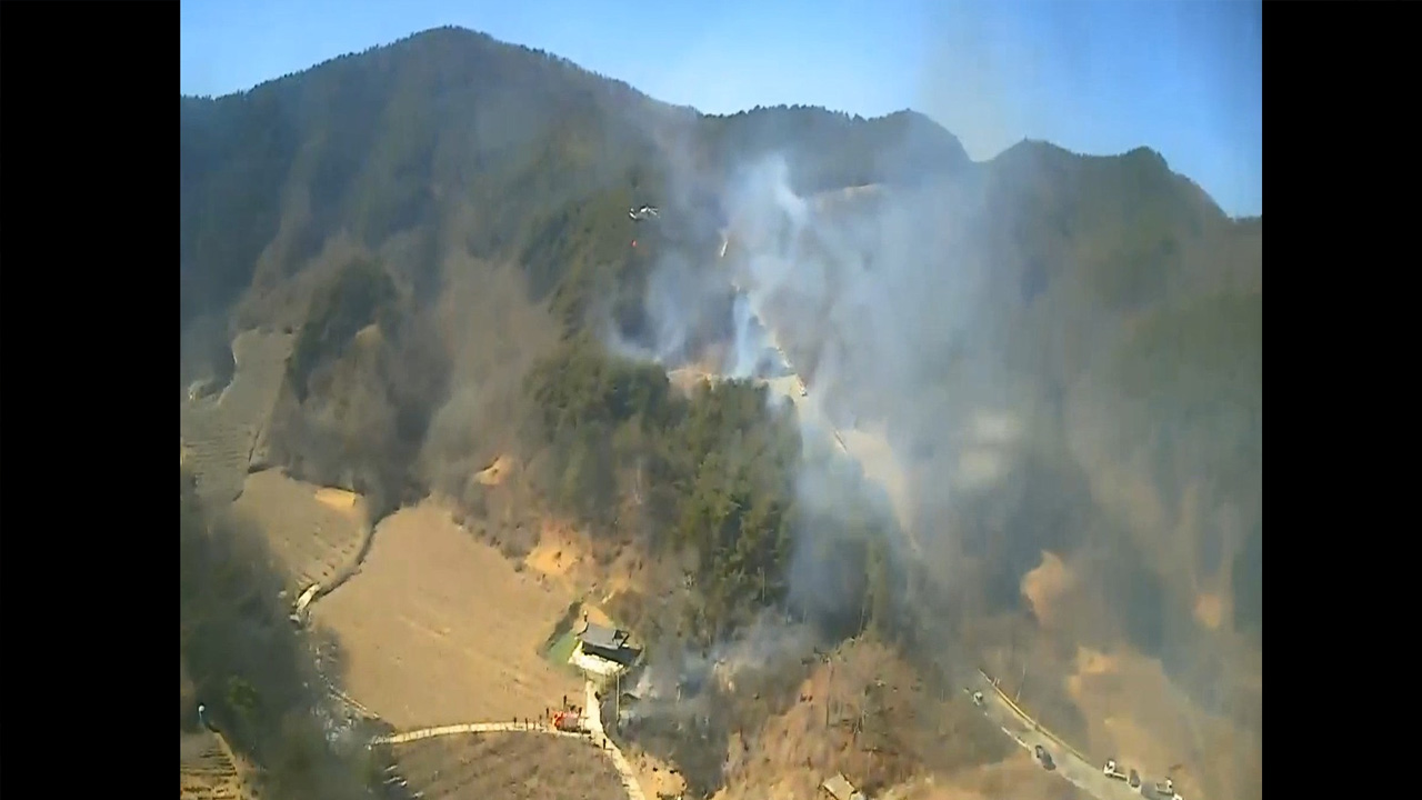 사진 제공 산림청