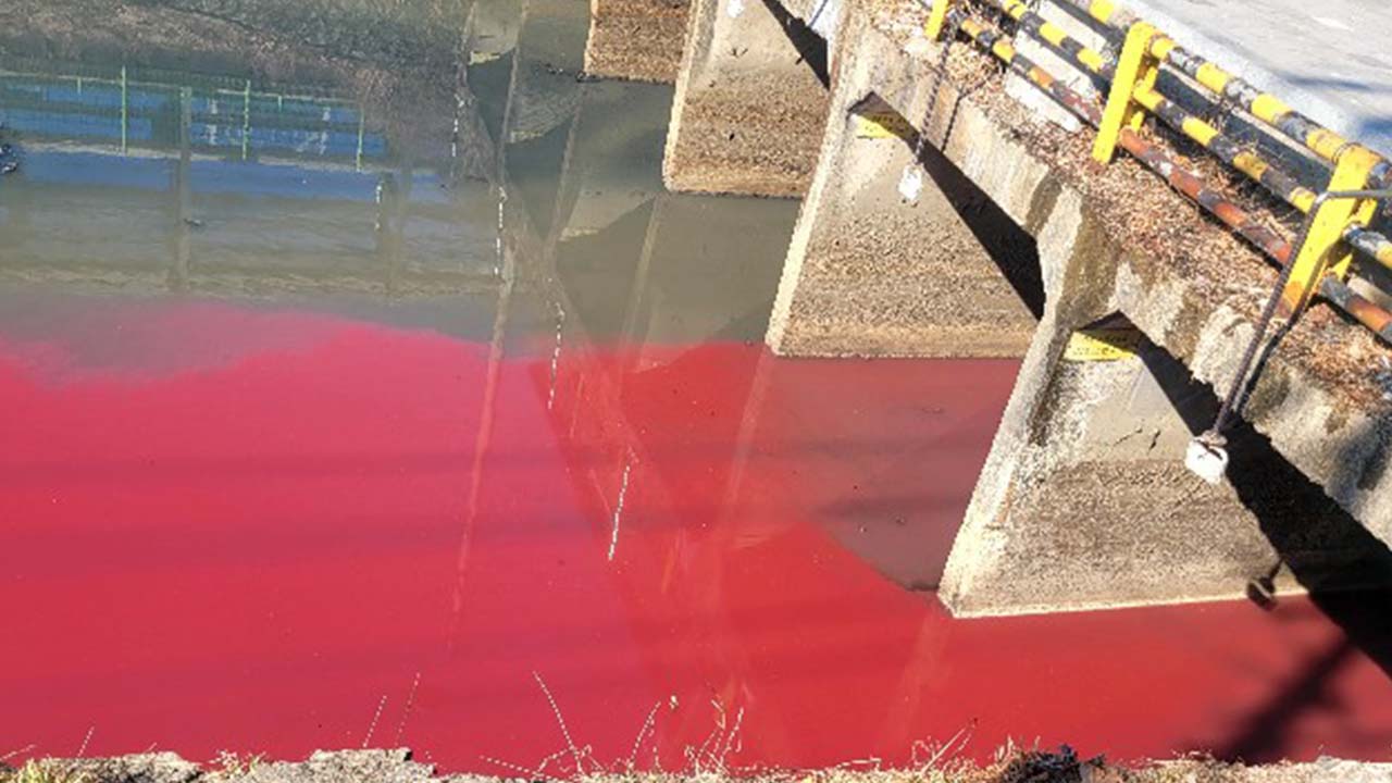 사진 제공 대구 서구의원 이주한