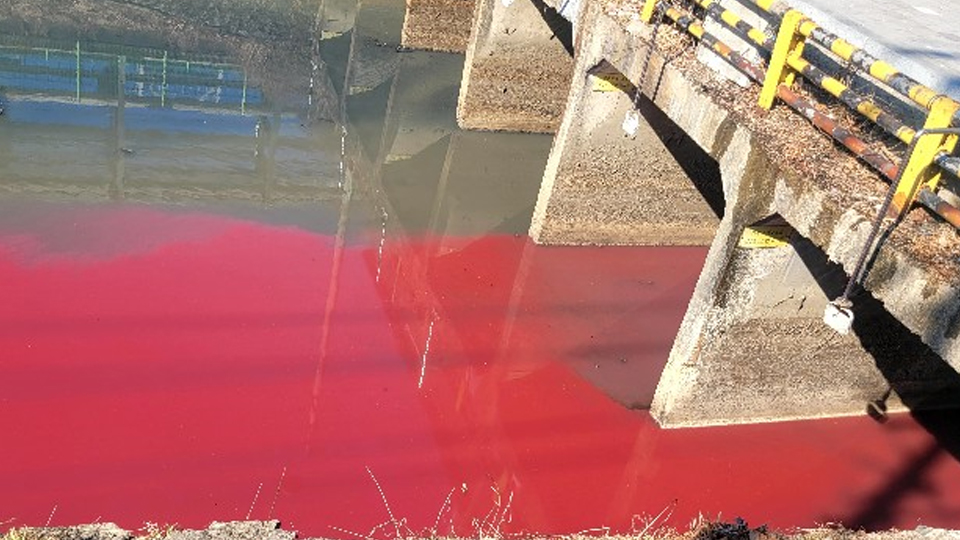 사진 제공 대구 서구 이주한 의원