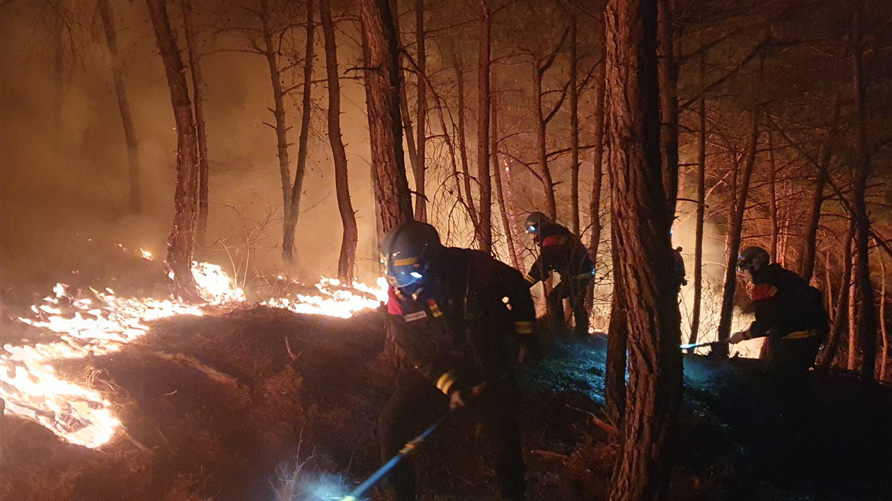 사진 제공 경북소방본부, 산림청
