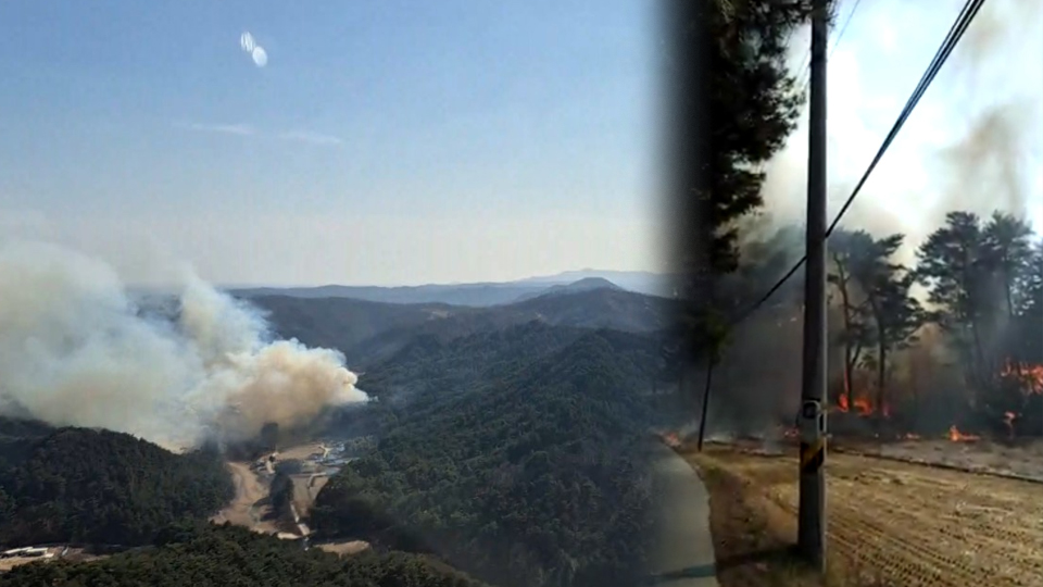 사진 제공 산림청, 경북소방본부