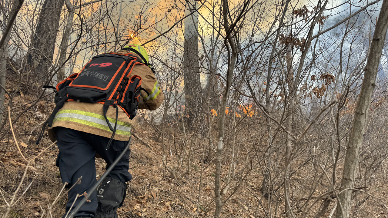 사진 제공 경북소방본부, 산림청