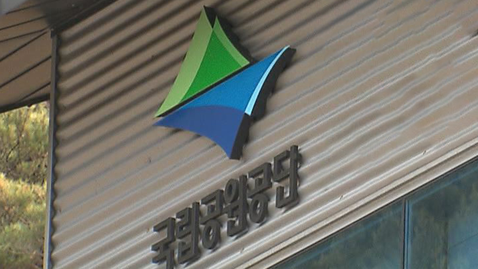 위 사진은 기사 내용과 관련이 없습니다