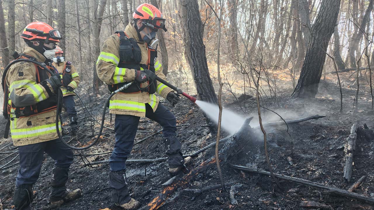 사진 제공 경북소방본부
