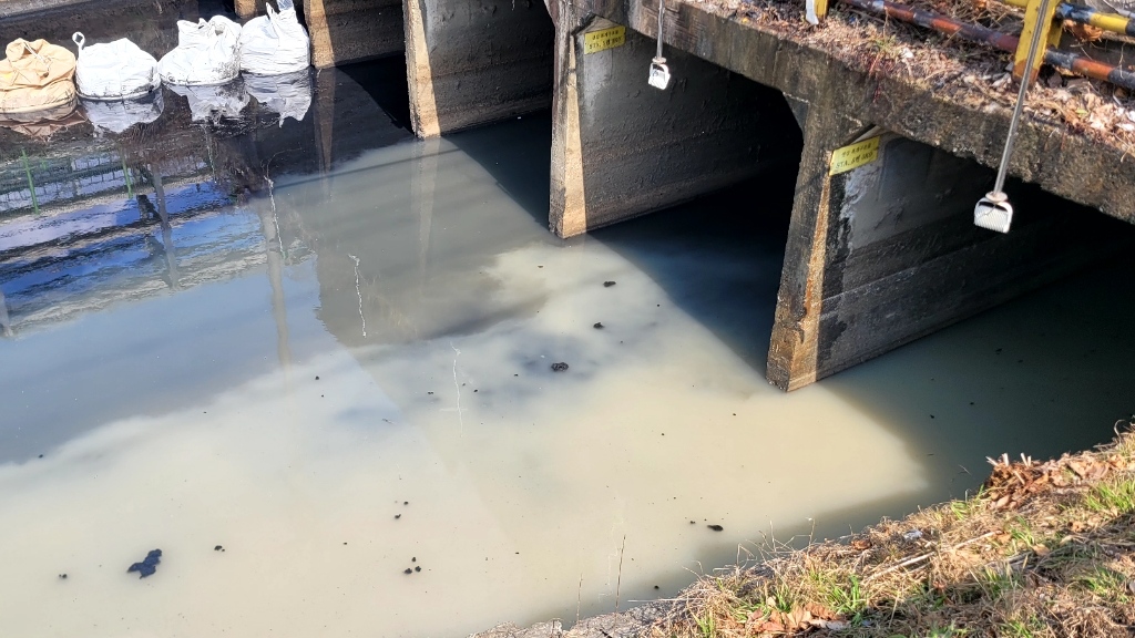 사진 제공 이주한 대구 서구의원