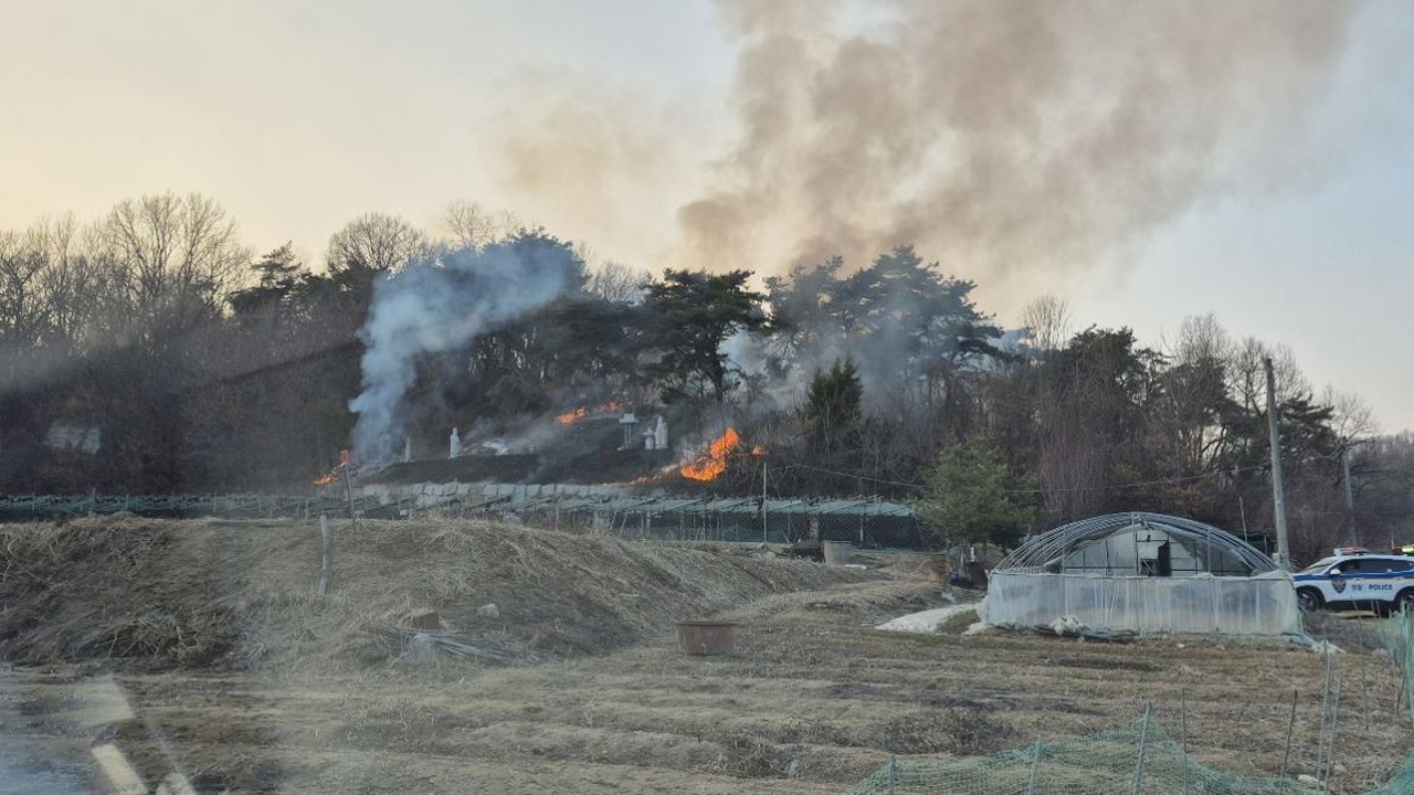사진 제공 경북소방본부