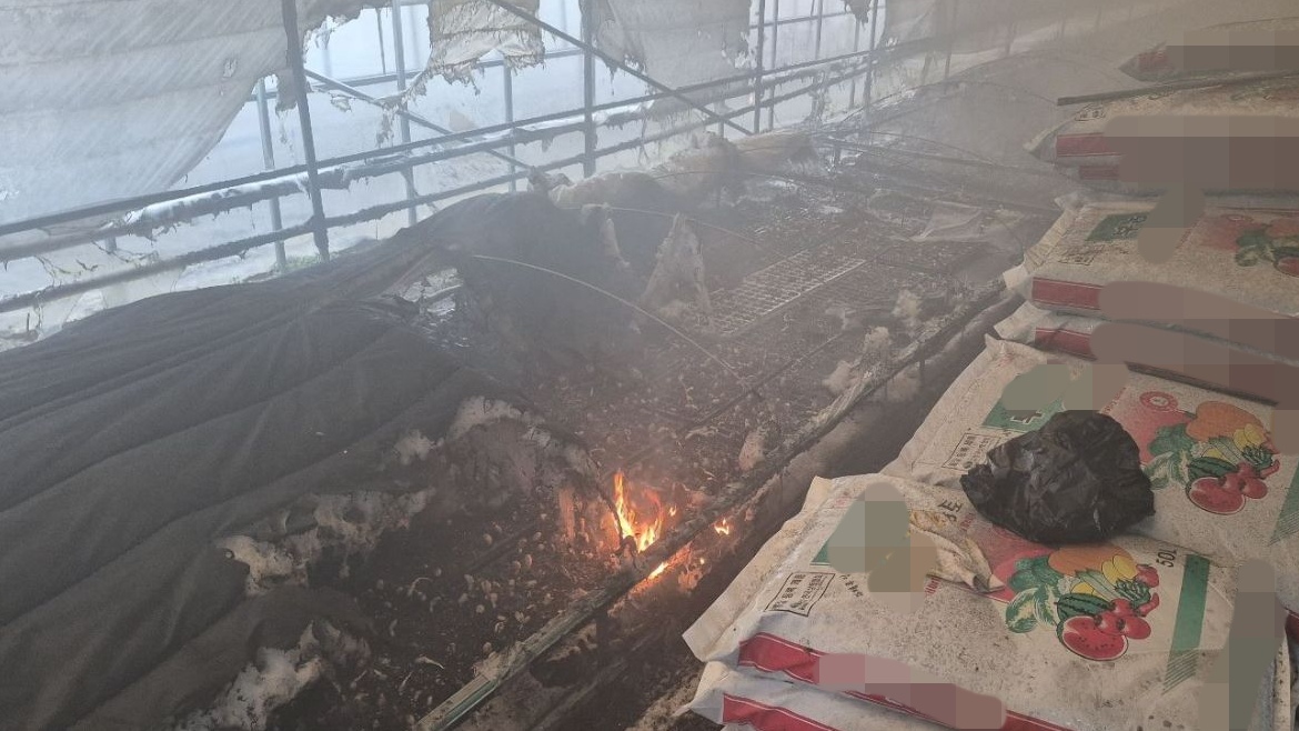 사진 제공 경북소방본부