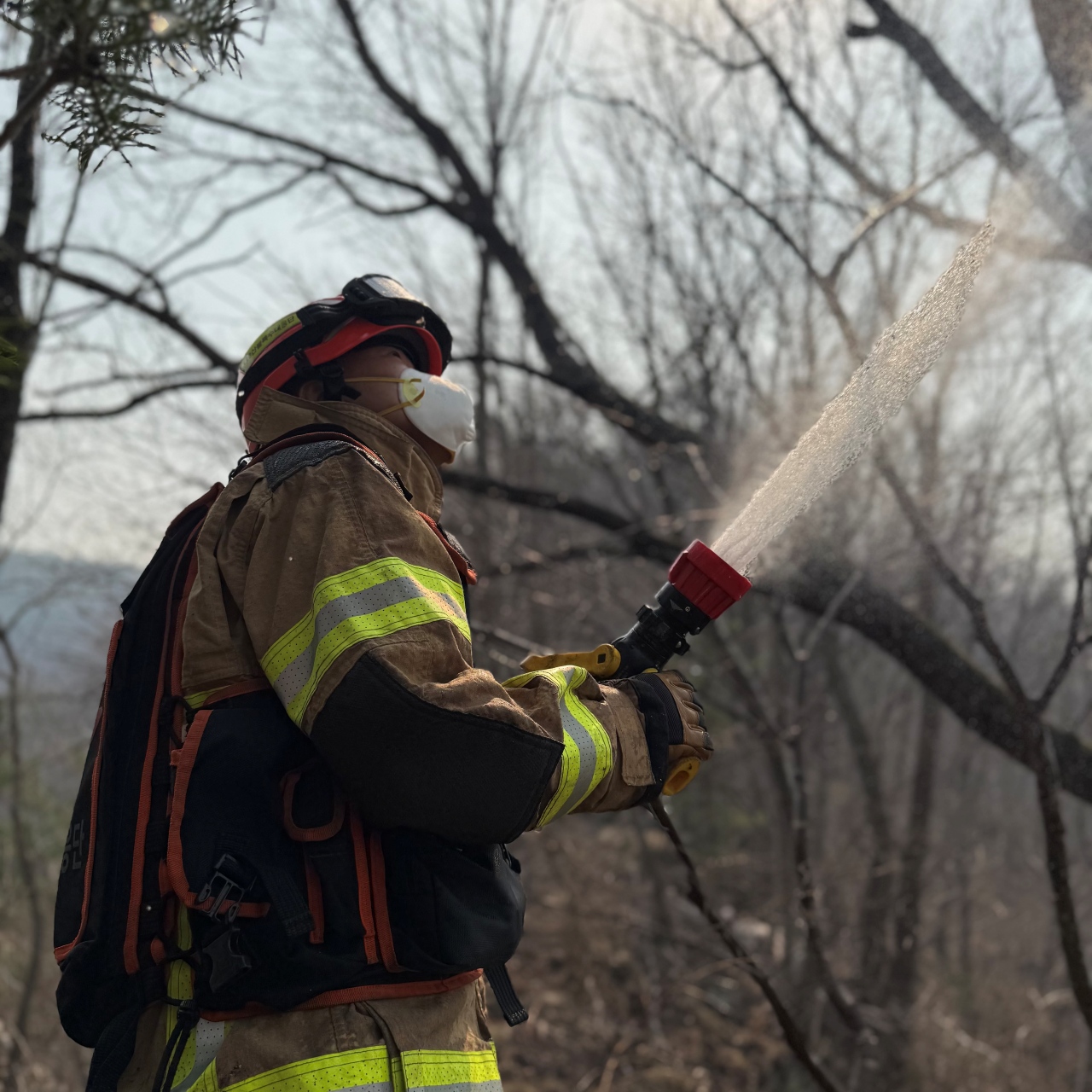 사진 제공 경북소방본부