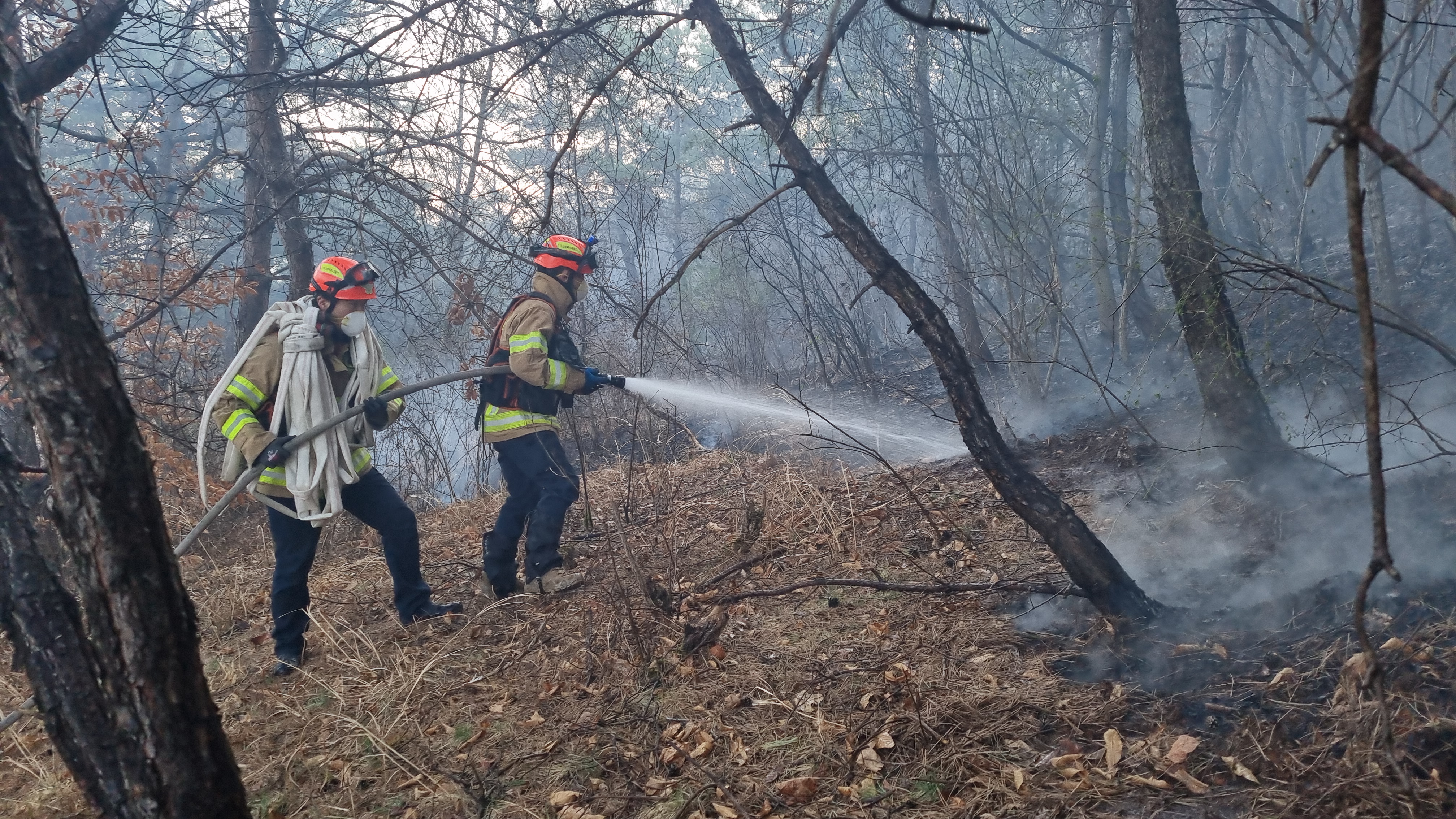 사진 제공 경북소방본부