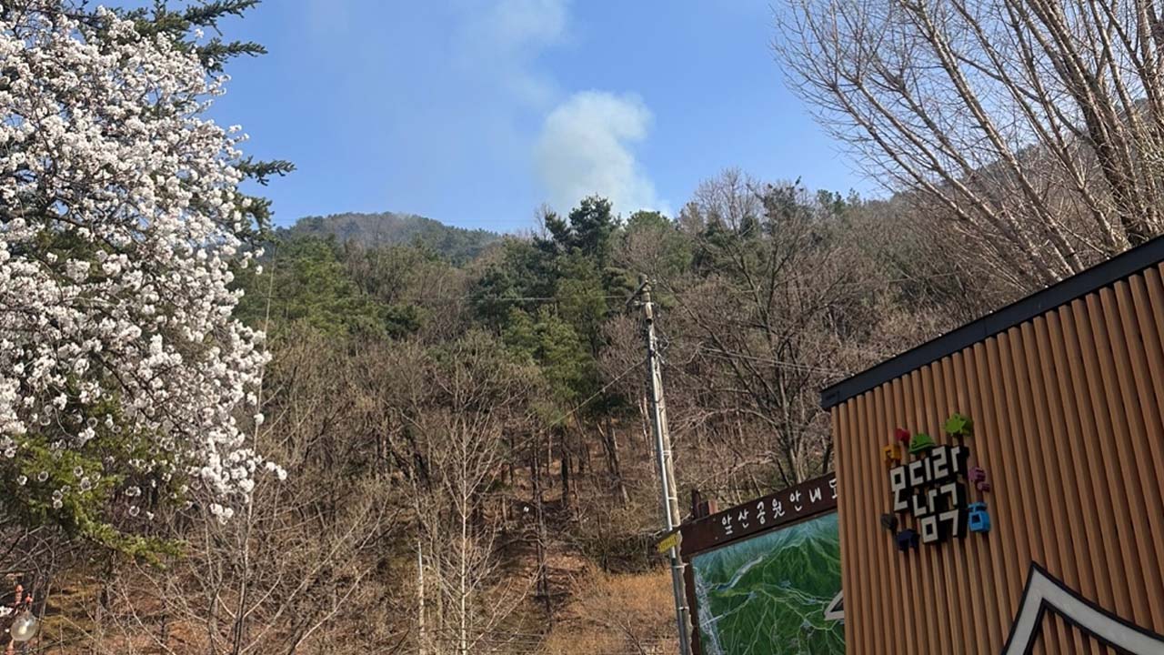 사진 제공 대구소방본부