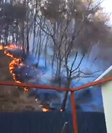 사진 제공 산림청