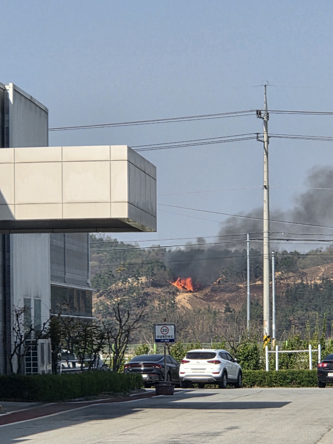 사진 제공 산림청