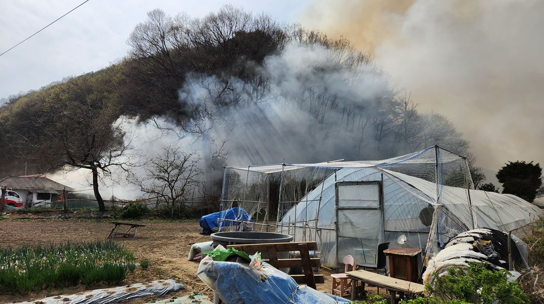 사진 제공 경북소방본부