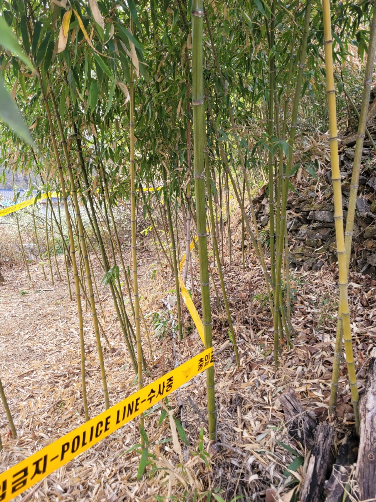 사진 제공 대구소방본부