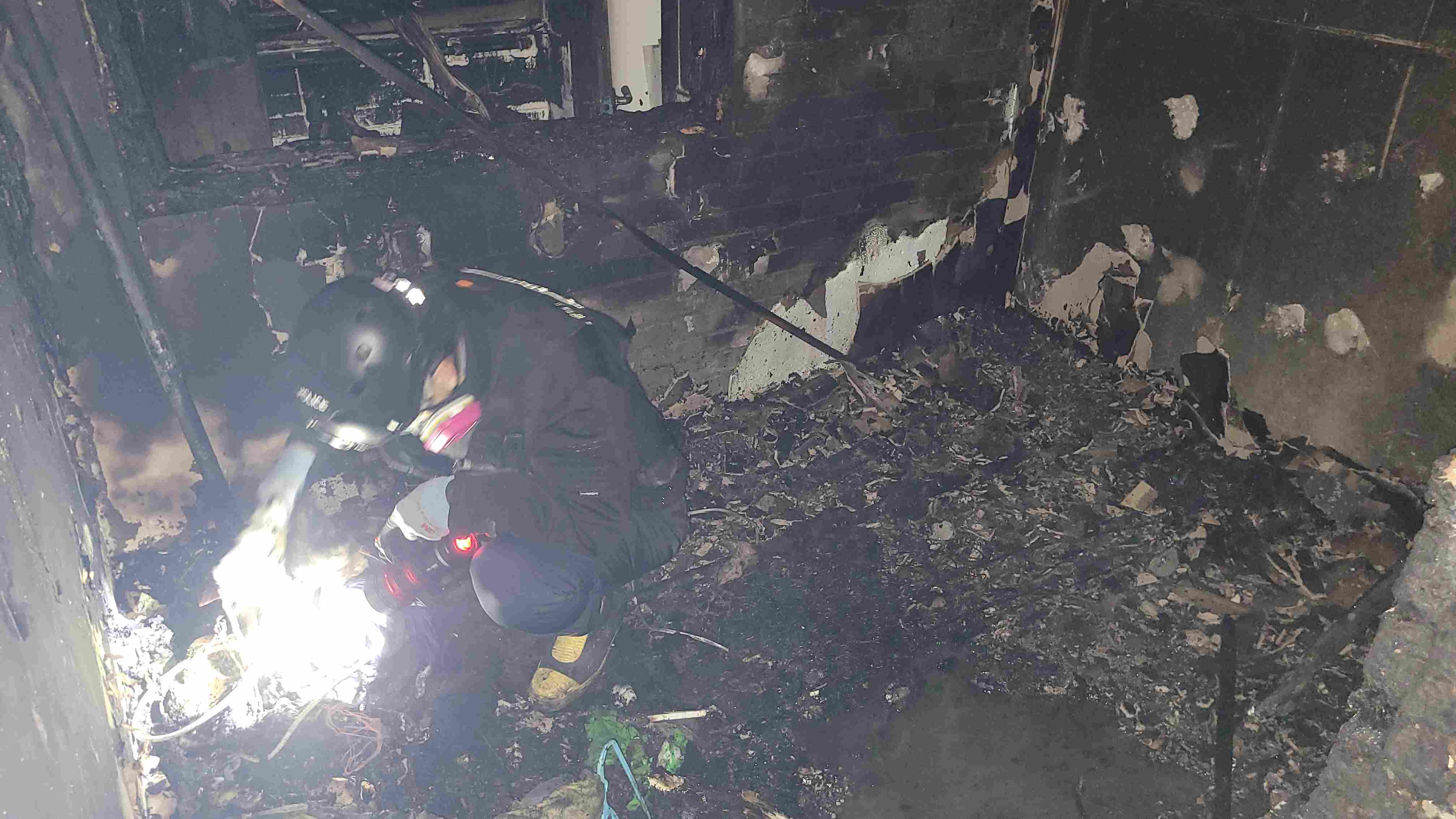 사진 제공 경북소방본부