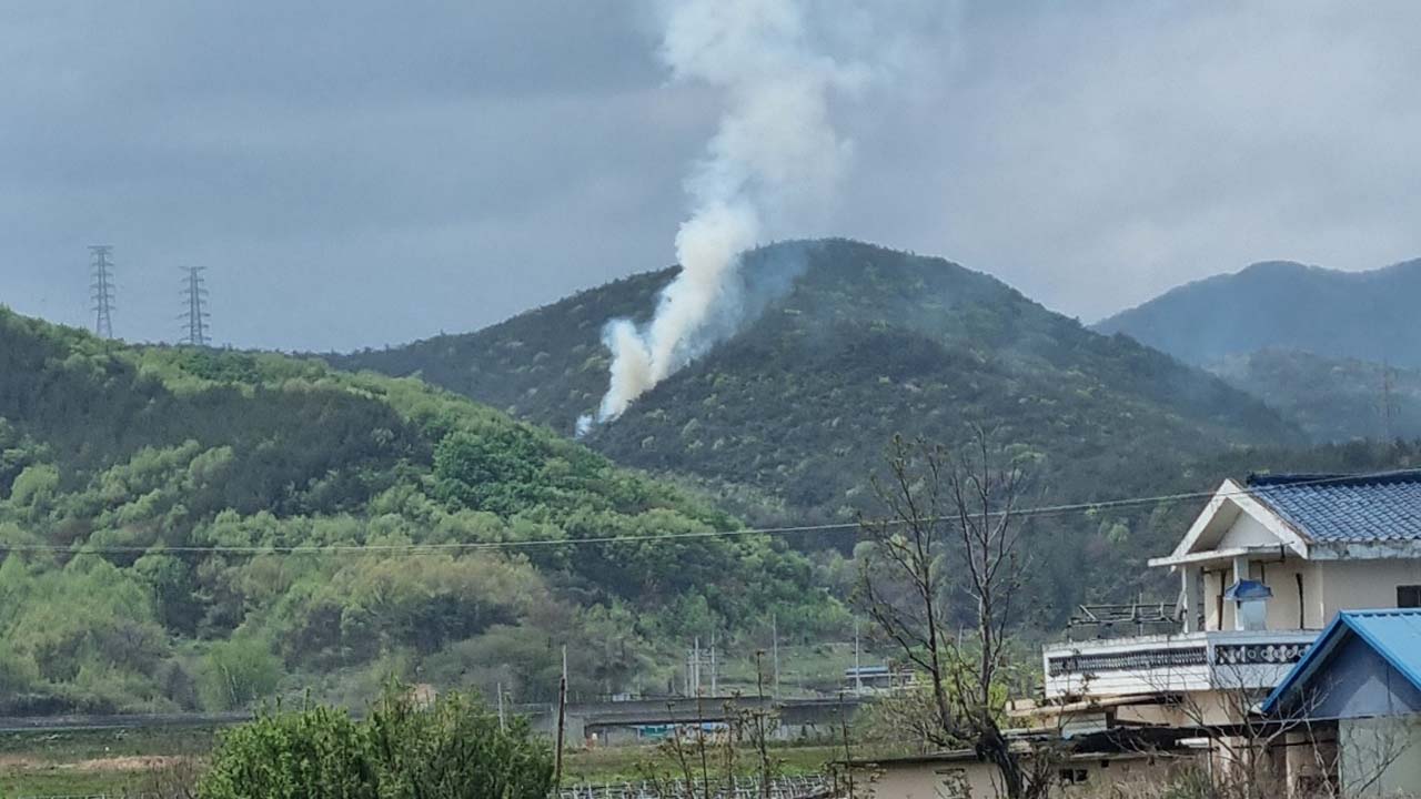사진 제공 산림청