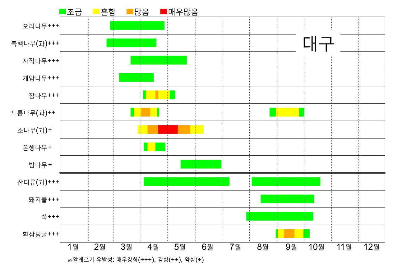 대구 꽃가루 달력 (출처: 국립기상과학원)