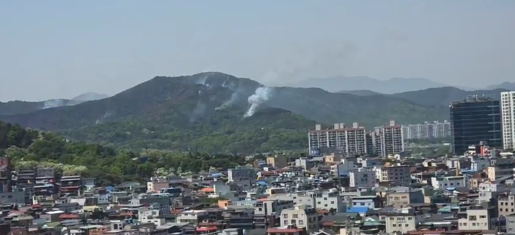 사진 제공 익명 제보자